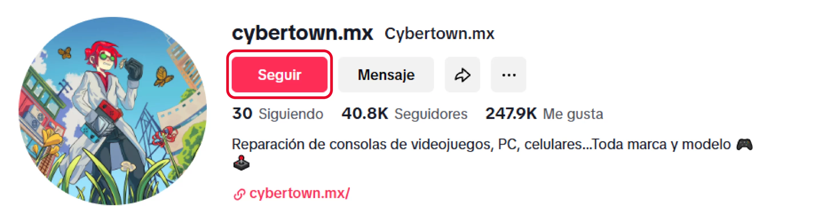 banner_tiktok_cybertown_seguidores@4x
